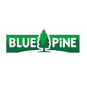 blue pine Logo Copy